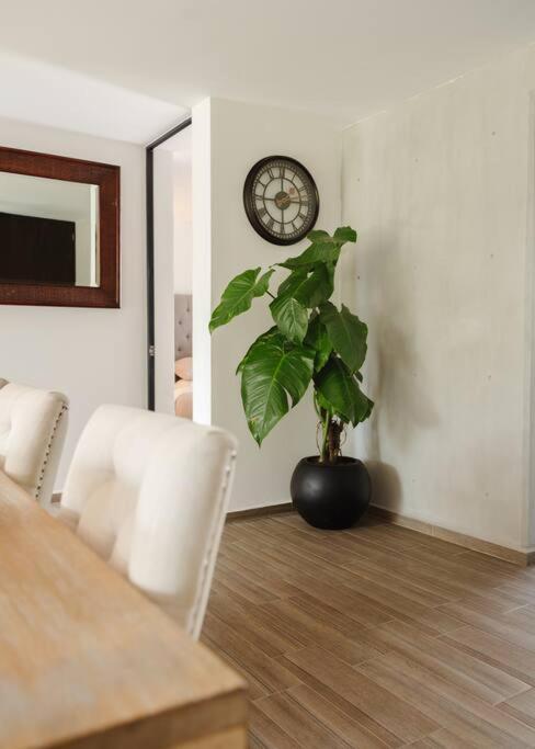 Mr. W Park View Balcony Espana 602 멕시코 시 외부 사진